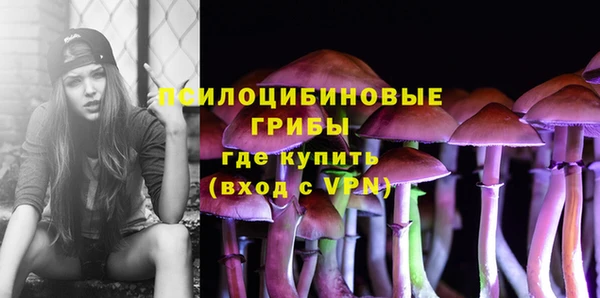 прущие крисы Апатиты