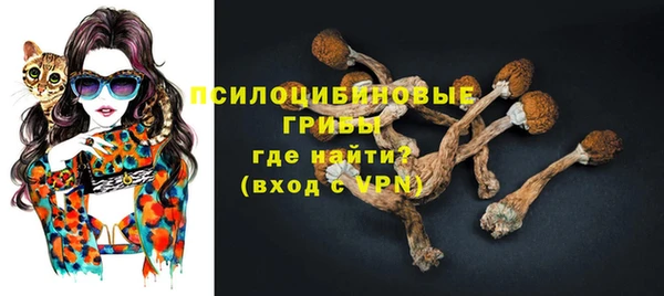 мдпв Анива