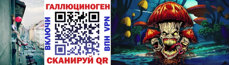 Галлюциногенные грибы Psilocybine cubensis Магас